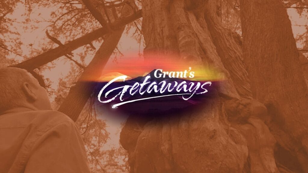 Grant's Getaways: Rockaway Beach Cedar Wetlands Preserve