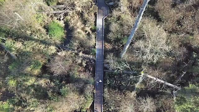 Grant's Getaways: Rockaway Beach Cedar Wetlands Preserve