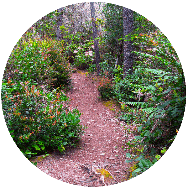 img south county overview circles trail REV