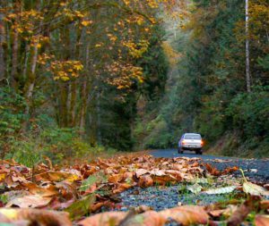 grants getaways fall color nehalem falls 11 2021 10