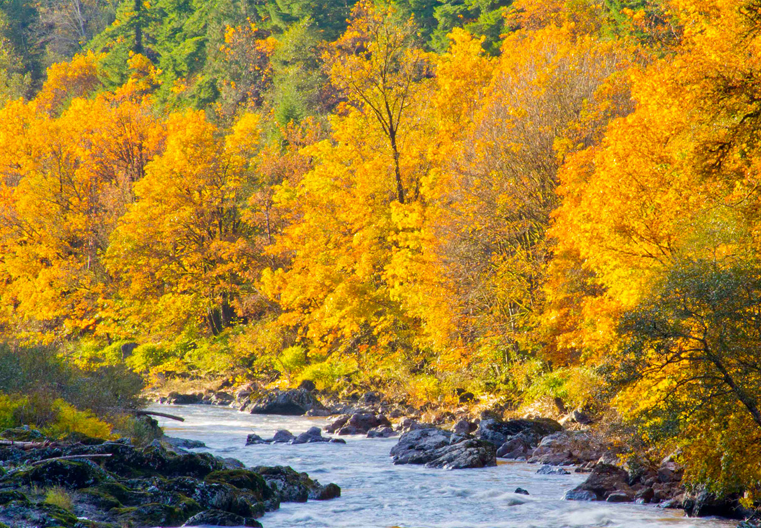 grants getaways fall color nehalem falls 3 2021 10