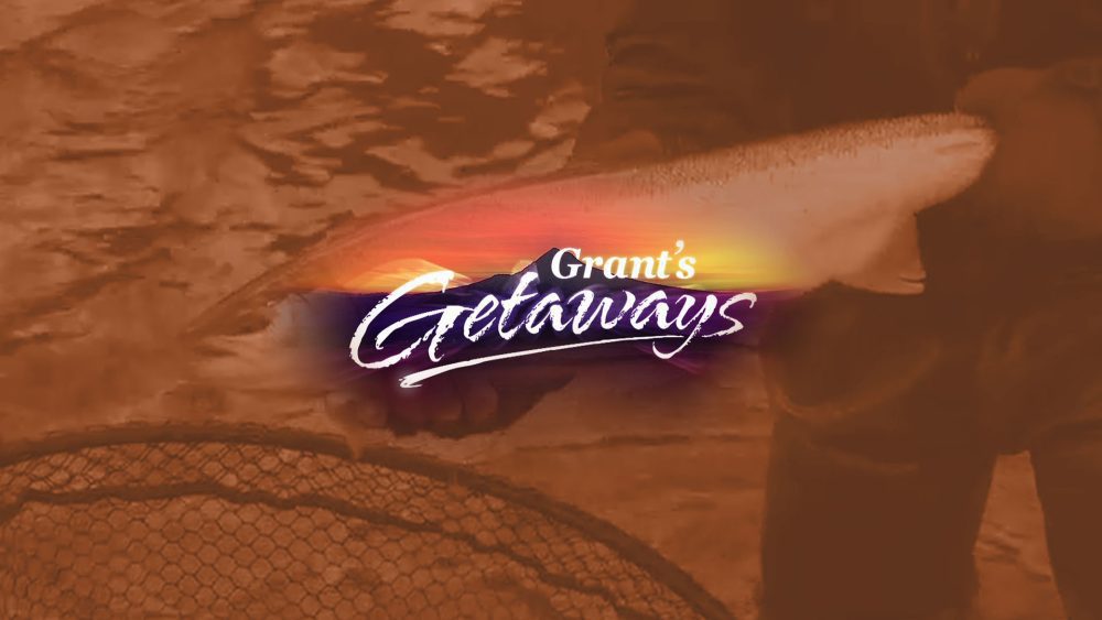 grants getaways spring steelhead