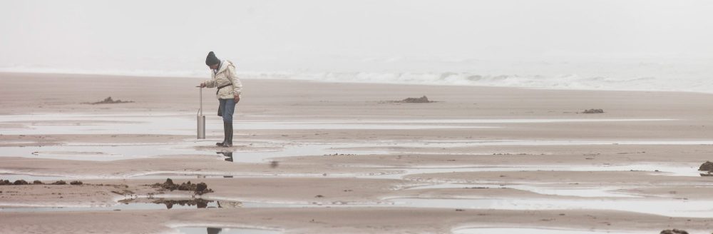 clamming foggy beach crop