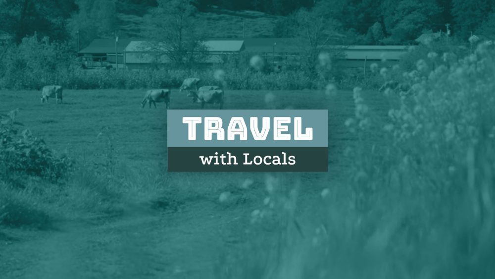 travel local feature intro