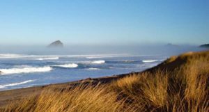 Bob Straub State Park