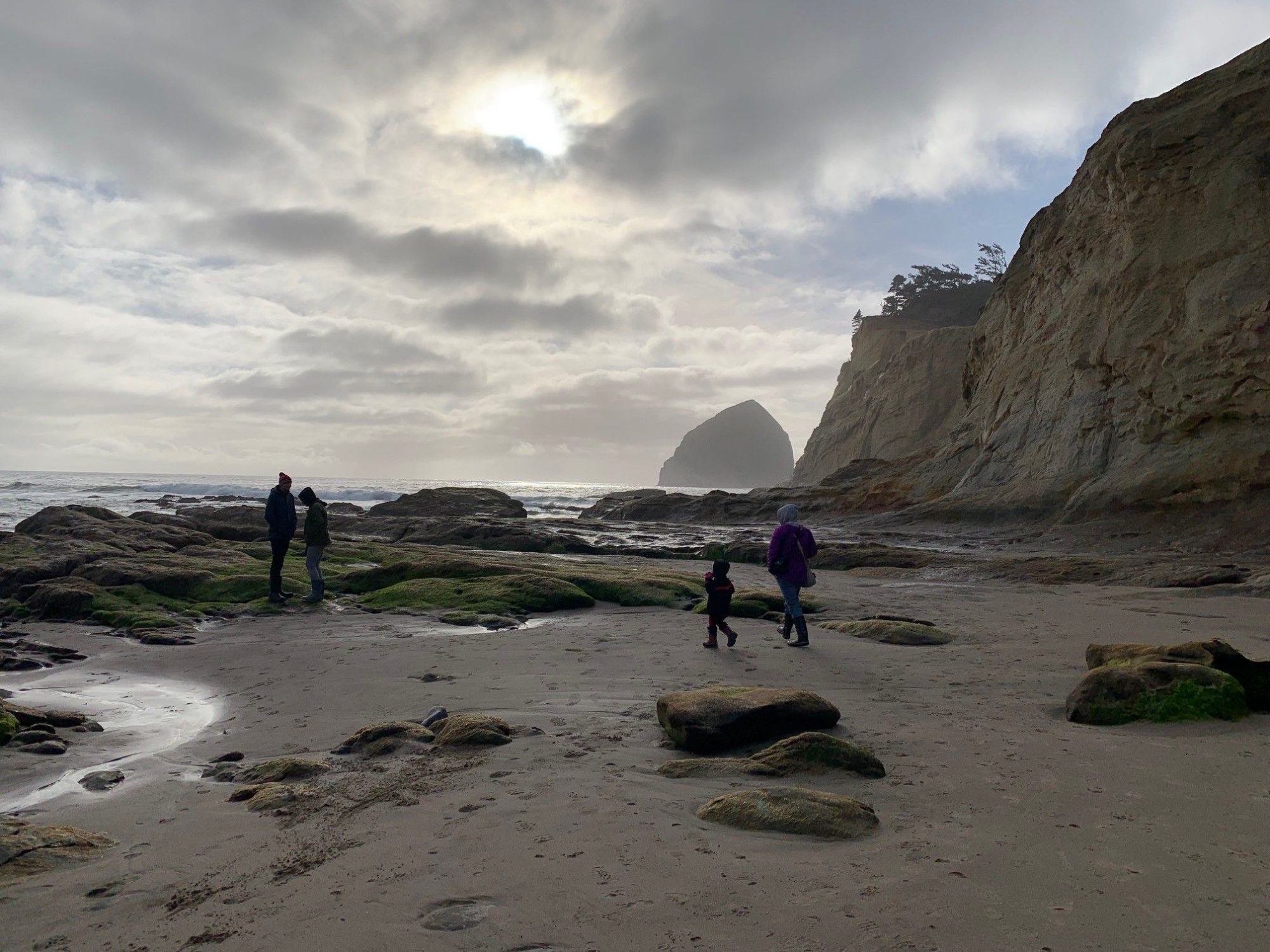 Cape Kiwanda State Natural Area