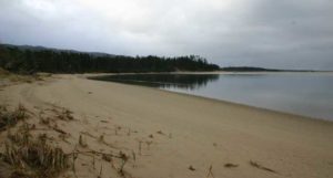 Clay Myers State Natural Area at Whalen Island