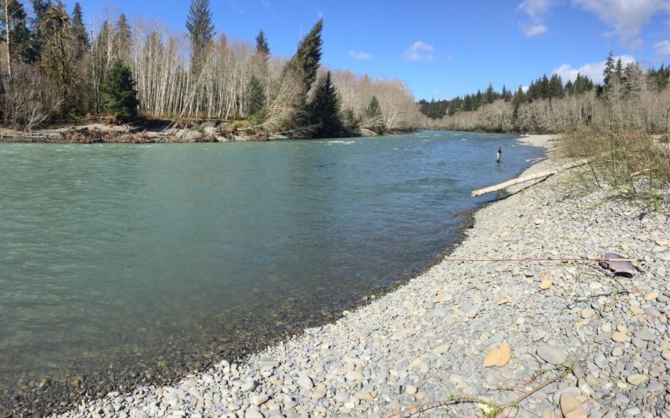 Greasy Beaks Fly Fishing