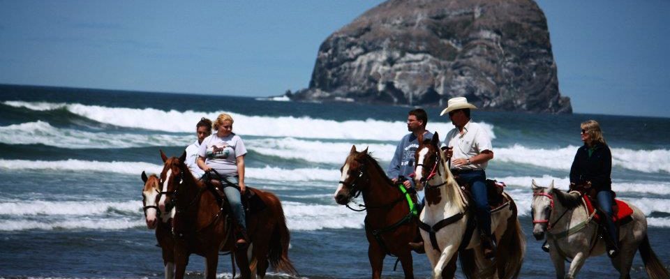 Discover Green Acres Beach & Trail Rides: A Perfect Family Adventure