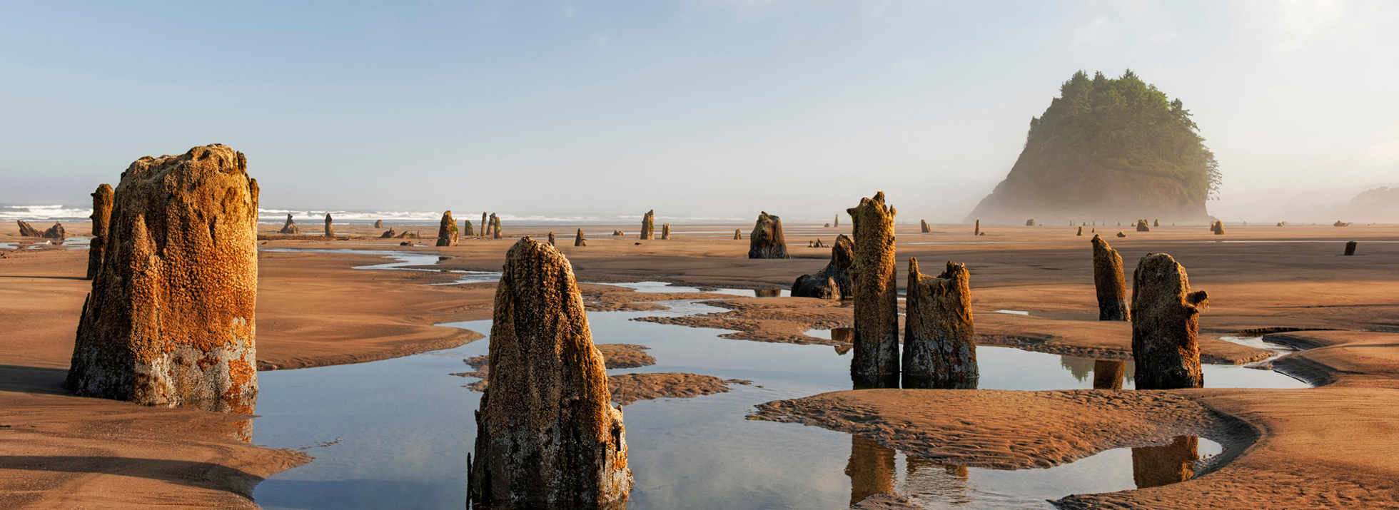 Neskowin Beach State Recreation Site