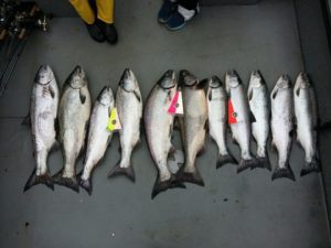 Lewis and Clark Guide Service