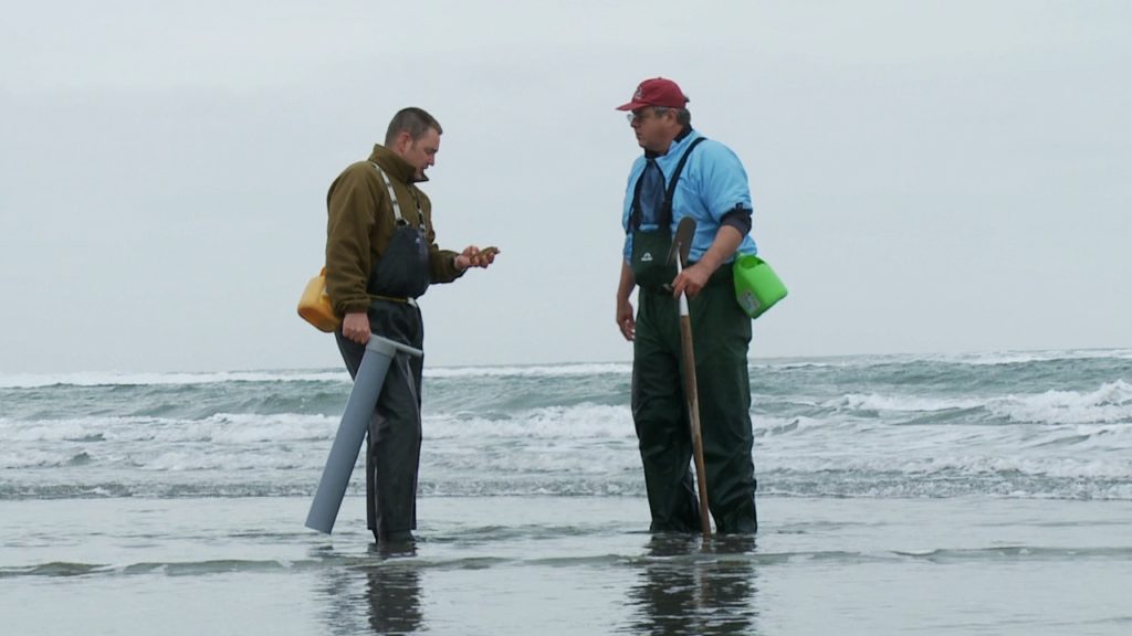 Gear: The Best Gear For Razor Clamming (Part 3) - The Perfect Tide