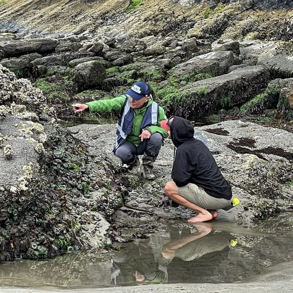 Cape Falcon Marine Reserve tidal zone lecture