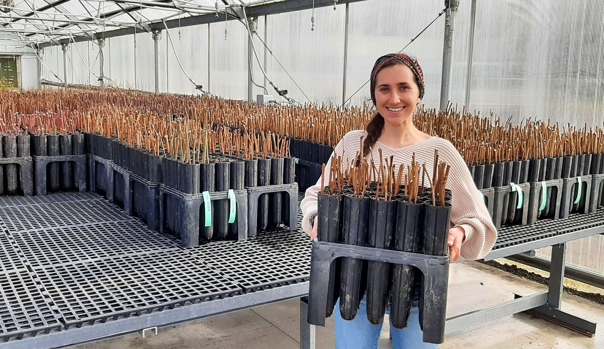 Tillamook Estuaries Partnership plant nursery