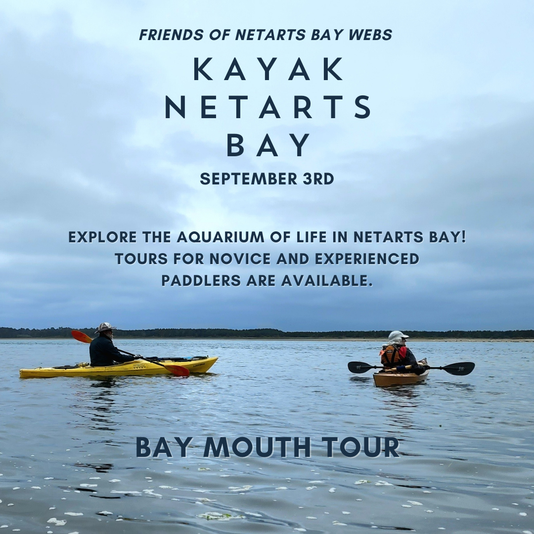Kayaking 2023 Sept Bay Mouth Tour KjIEFe.tmp