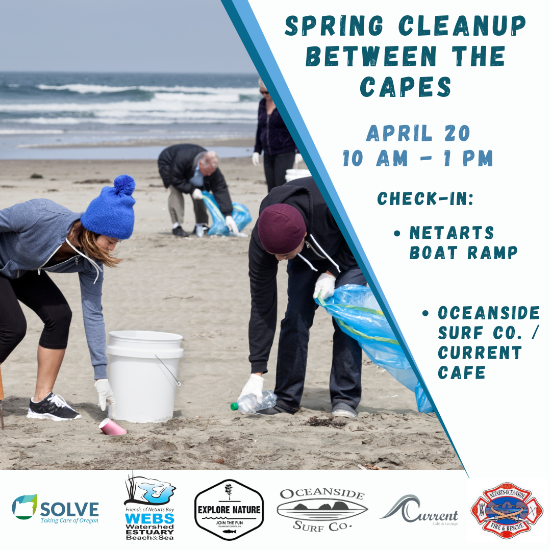April 20 2024 Beach Clean UP p2F9r1.tmp