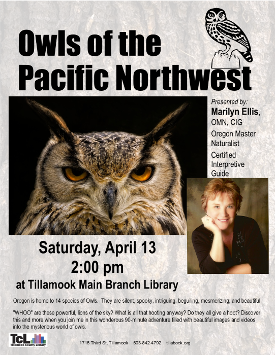 Owls of the PNW 4.13 SCgkn0.tmp