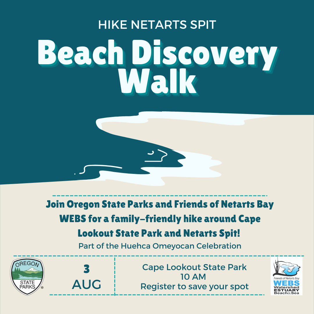 Beach Discovery Walk Cape Lookout FwvKRh.tmp