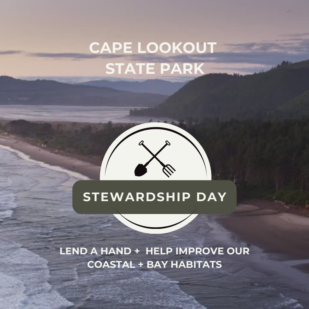 Cape Lookout Stewardship img 1 45yIYG.tmp