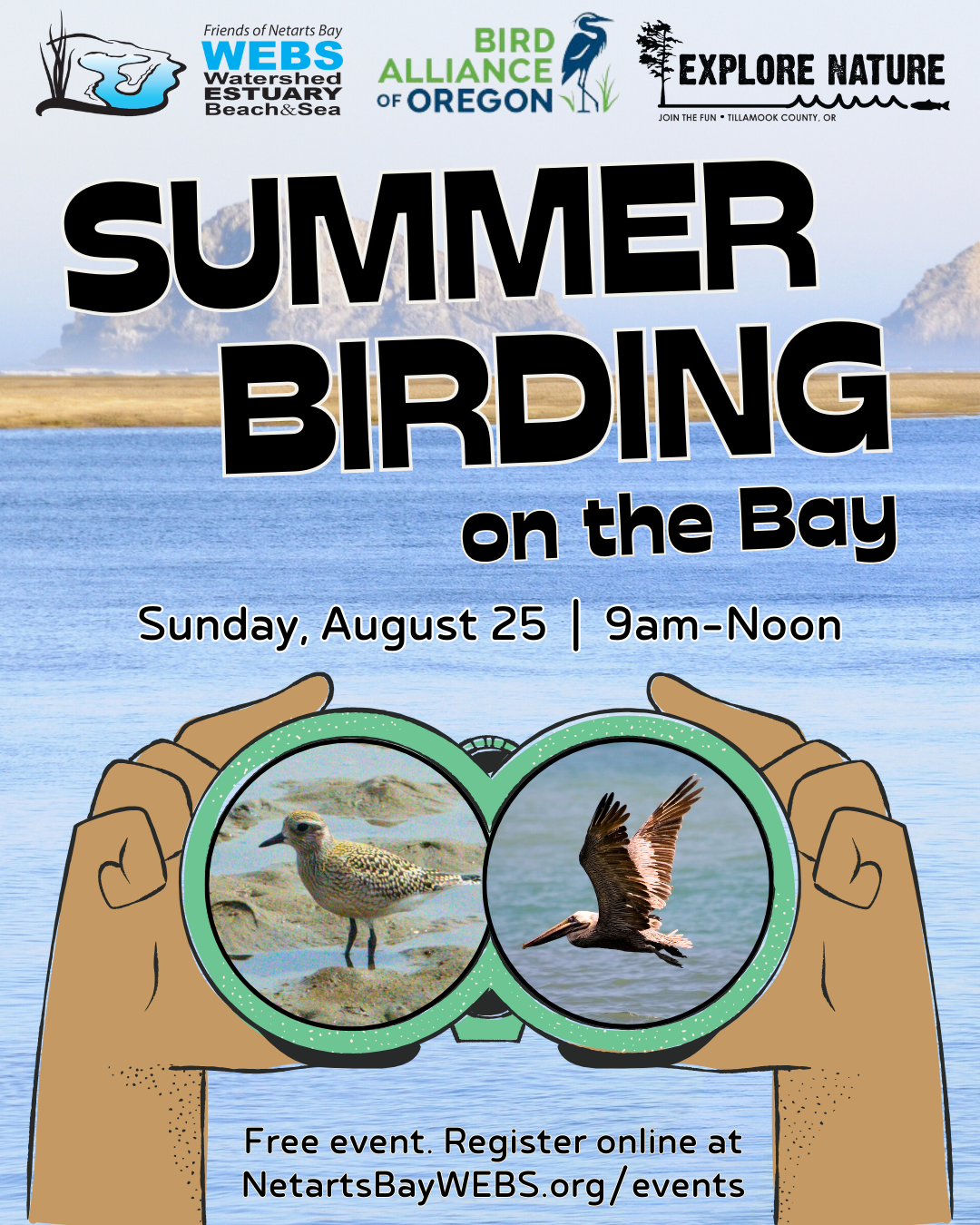 Summer Birding on the Bay 2024 45 IG 2 NnwIGz.tmp