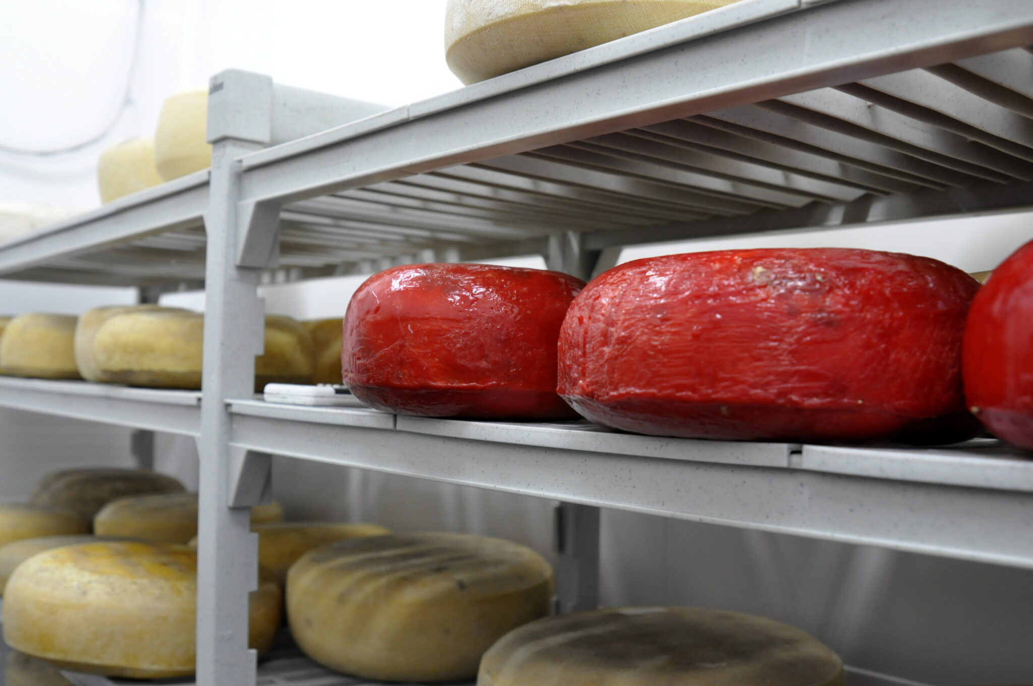 Nestucca Bay Creamery Cheese Shop photo