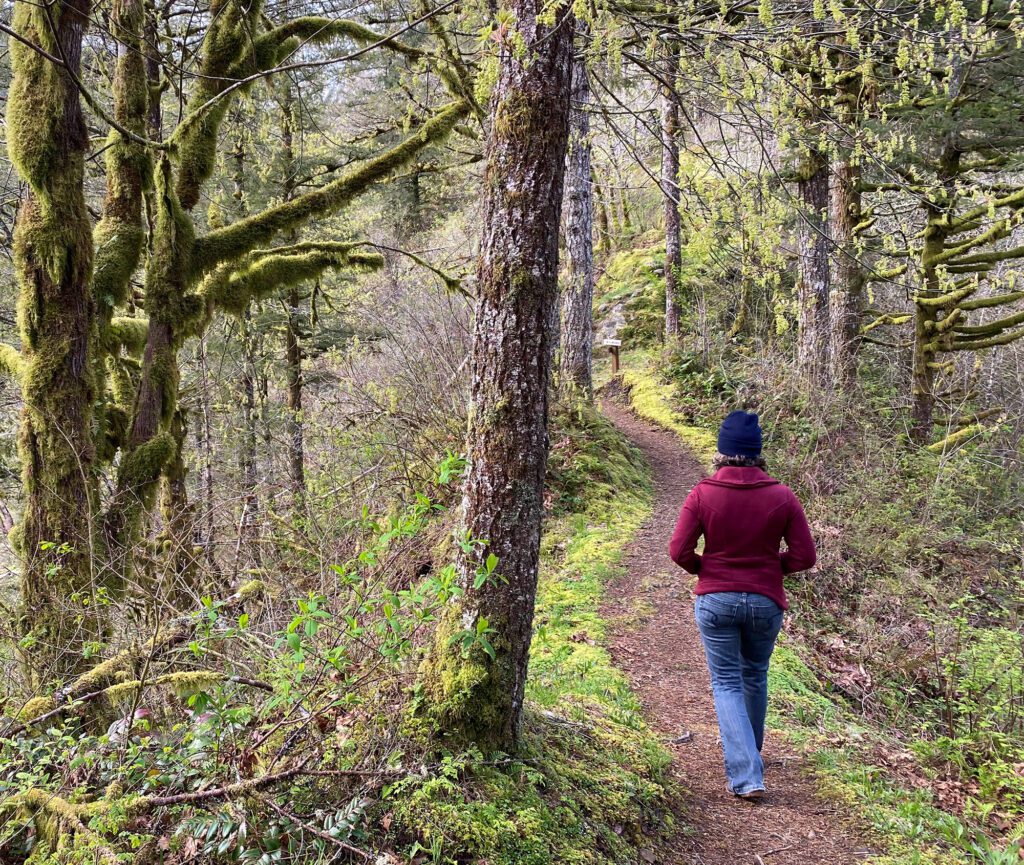 Hiking forest by Adam Sawyer