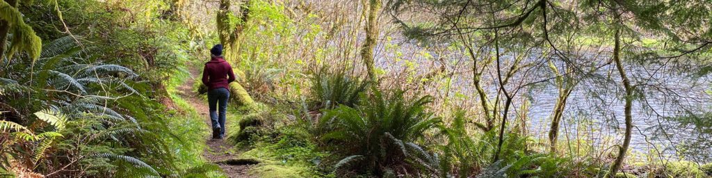 hiking forest river by Adam Sawyer