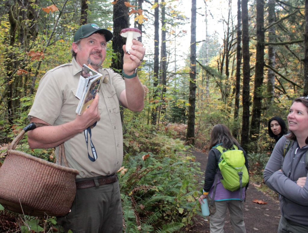 Tillamook Forest Center nature walk