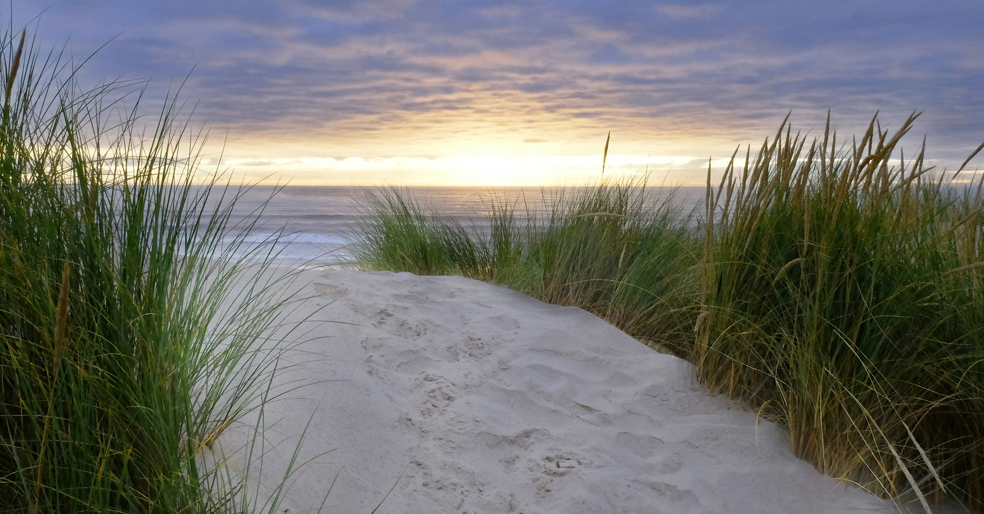 coast oregon john peters ULR IRGPbmM unsplash class 1 bDBpXt.tmp