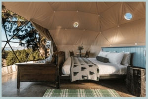 Screen Shot 2025 03 12 at 11.55.13 AM