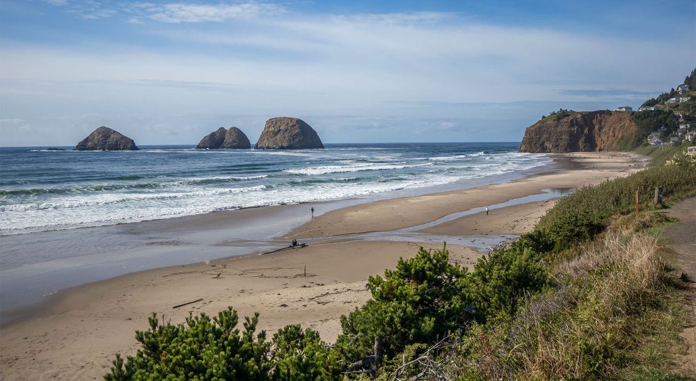 ocean sea stacks beach scrub day