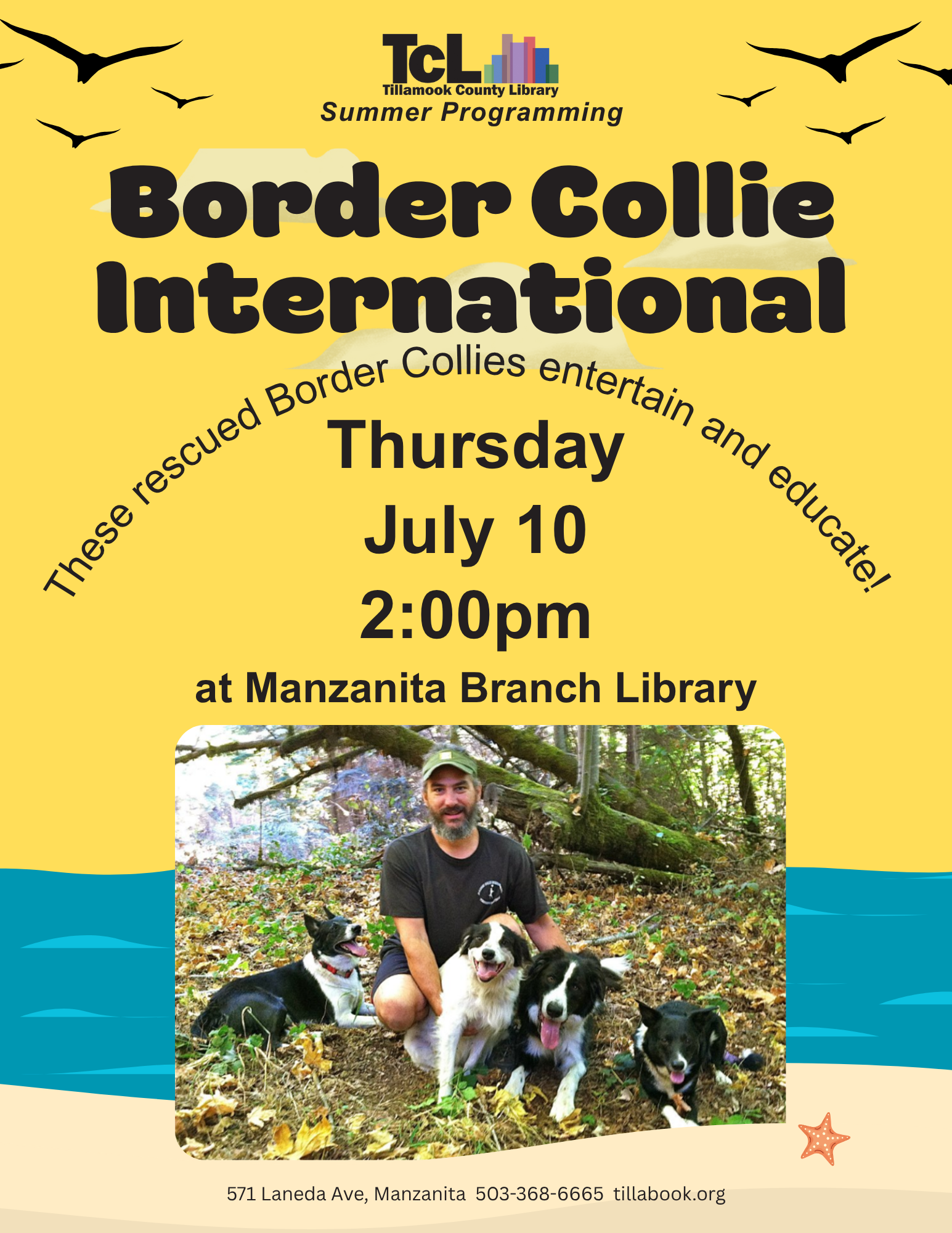 Border Collies Intl. 071025 TZ 73oEca