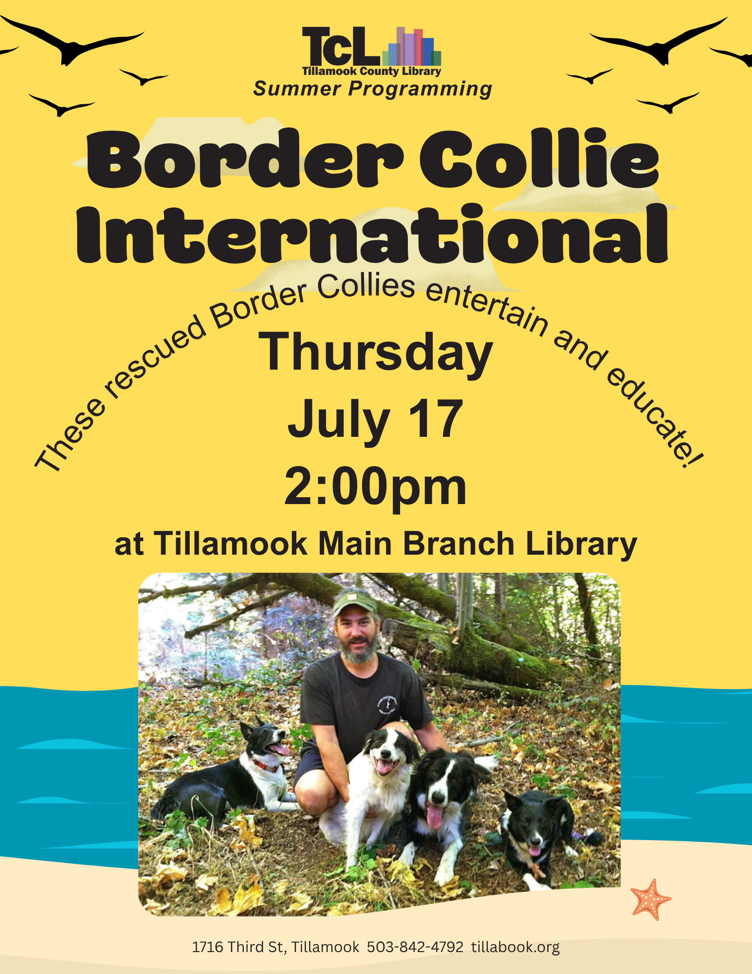 Border Collies Intl. 071725 TM DvHDUI