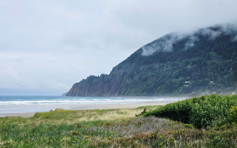 Neahkahnie Mountain Manzanita