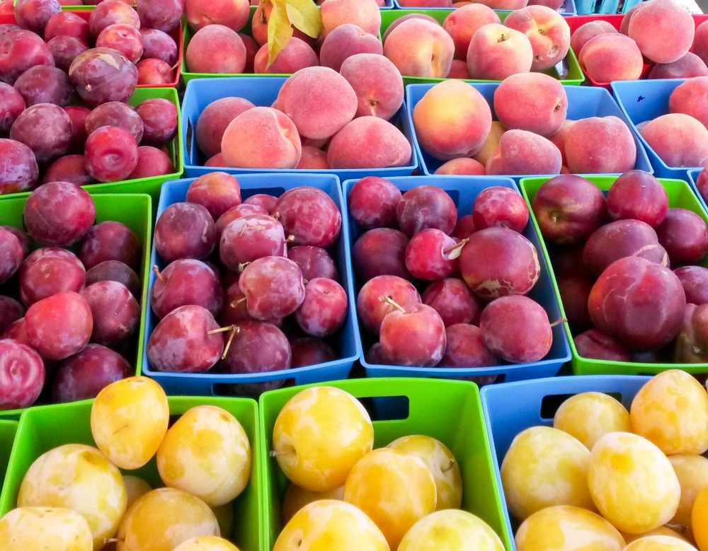 Pacific City Farmers Market fruit stand