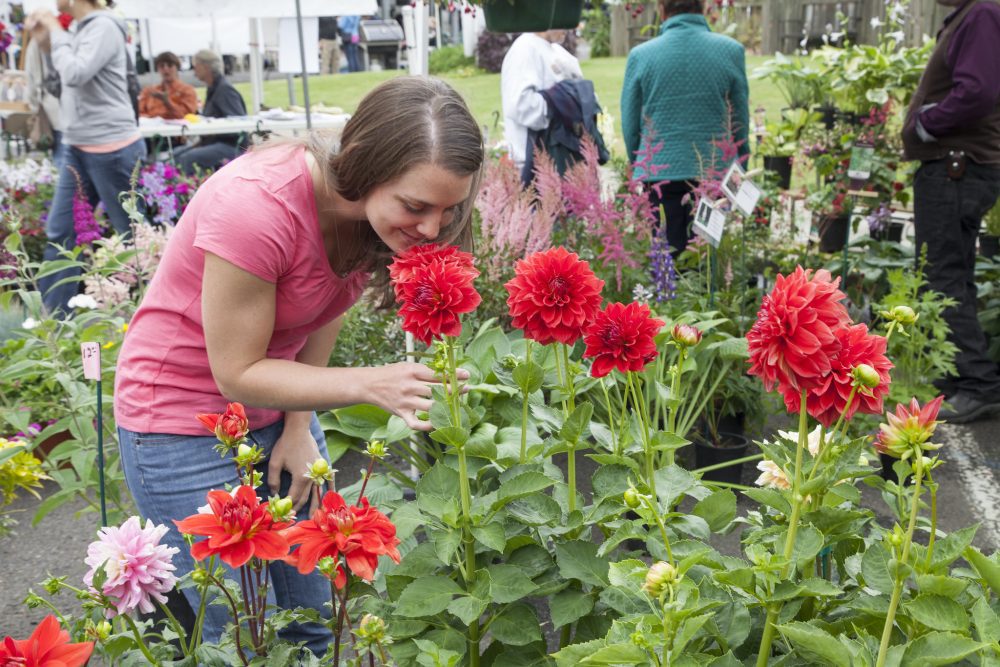 farmers market flowers