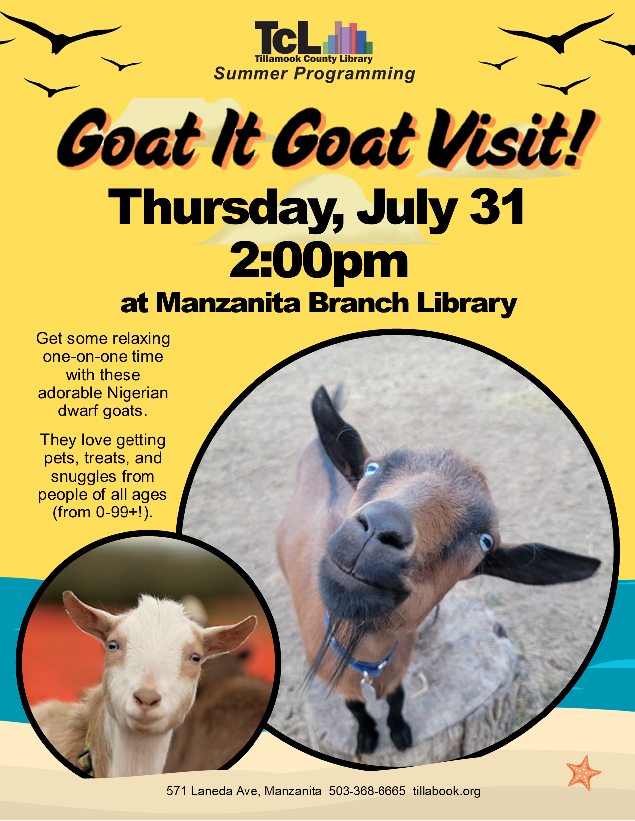 Goat It Goat Visit 073125 TZ 9DNCR0