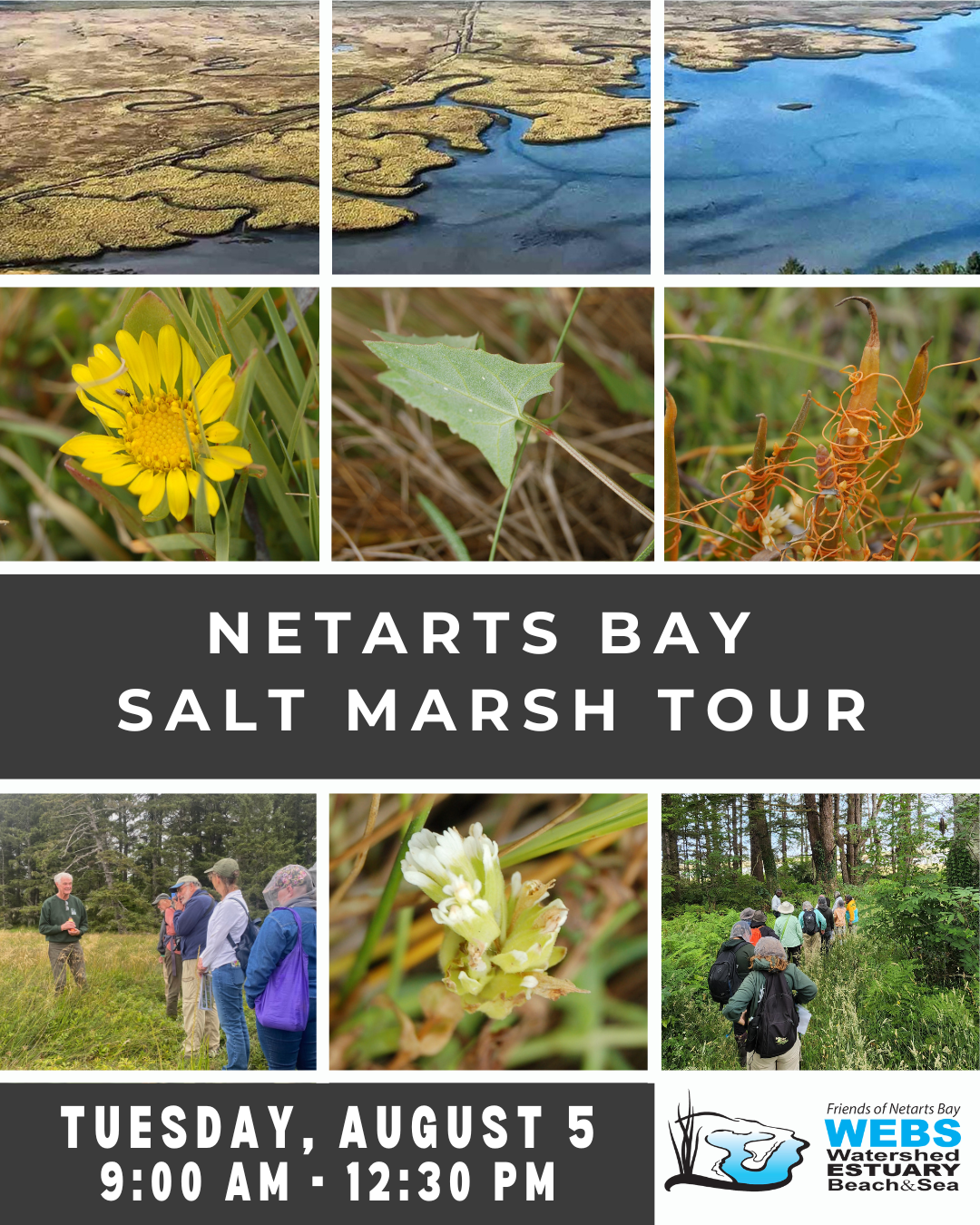 Salt Marsh Program 2025 pvfbD4
