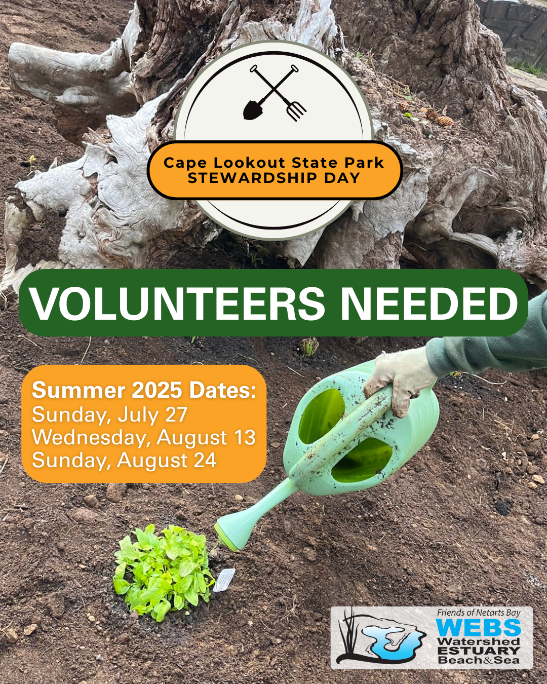 Stewardship Day image summer of 2025 oQS5pC