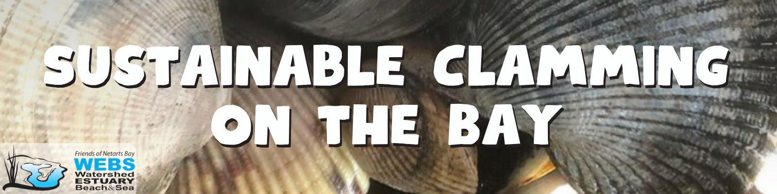 Sustainable Clamming Banner lKENxO