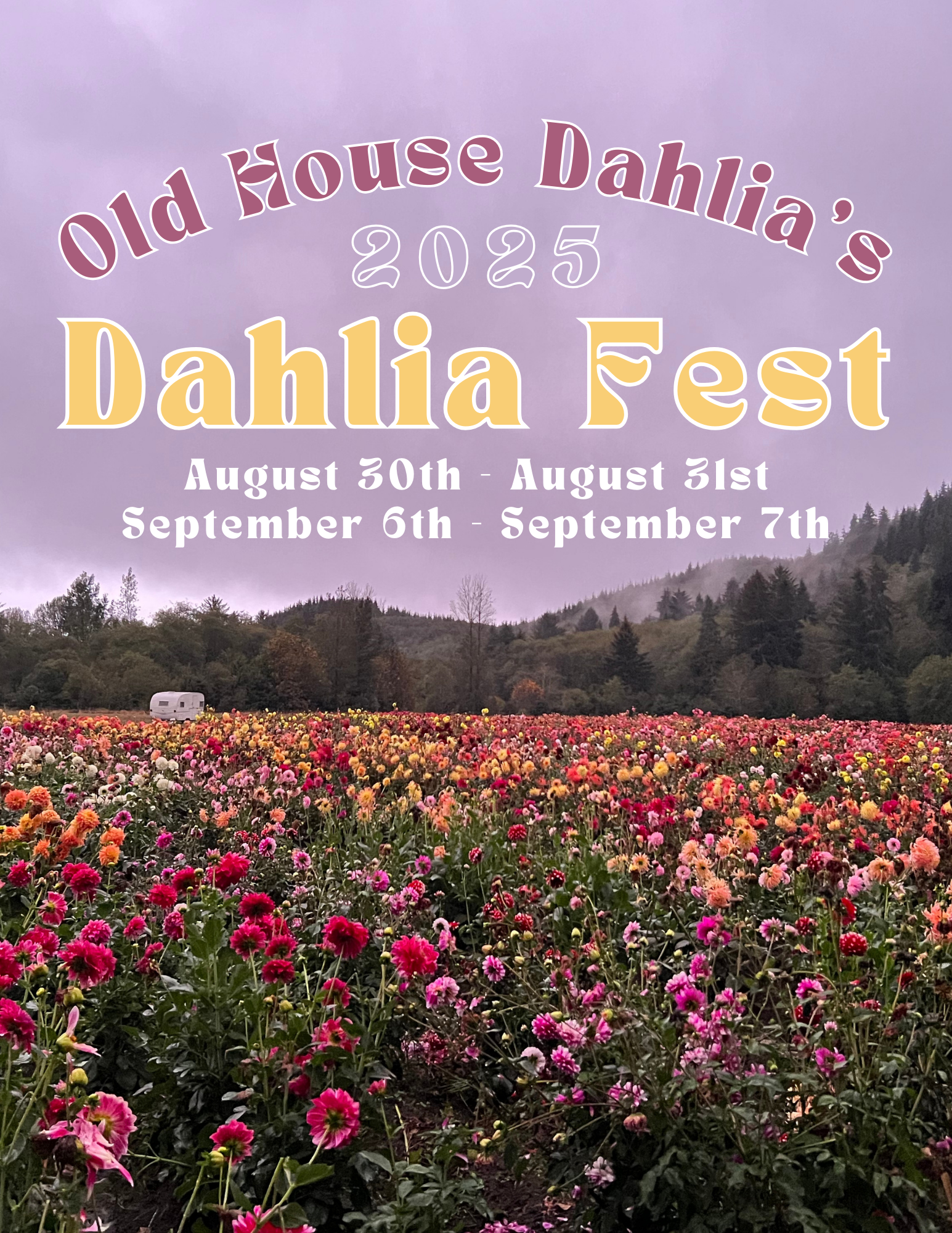 2024-Dahlia-Festival-nuxlqm 2024 Dahlia Festival nuxlqm