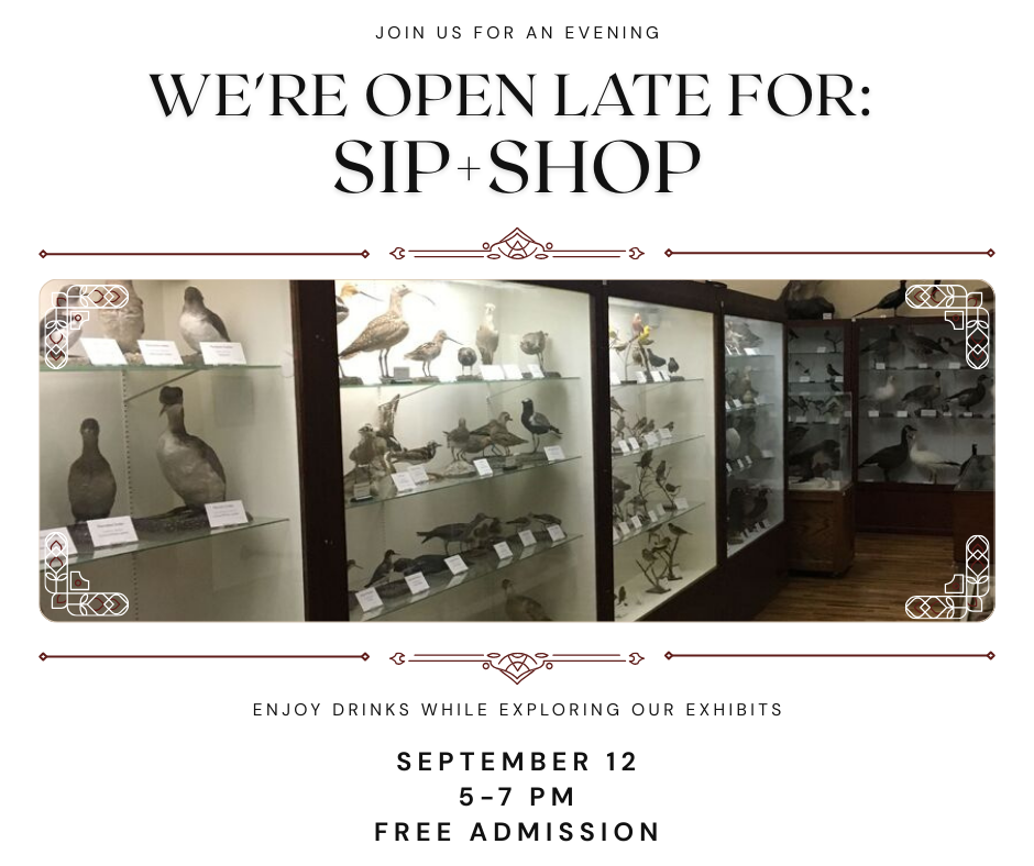 Sip-Shop-Facebook-post-608OGz Sip Shop Facebook post 608OGz