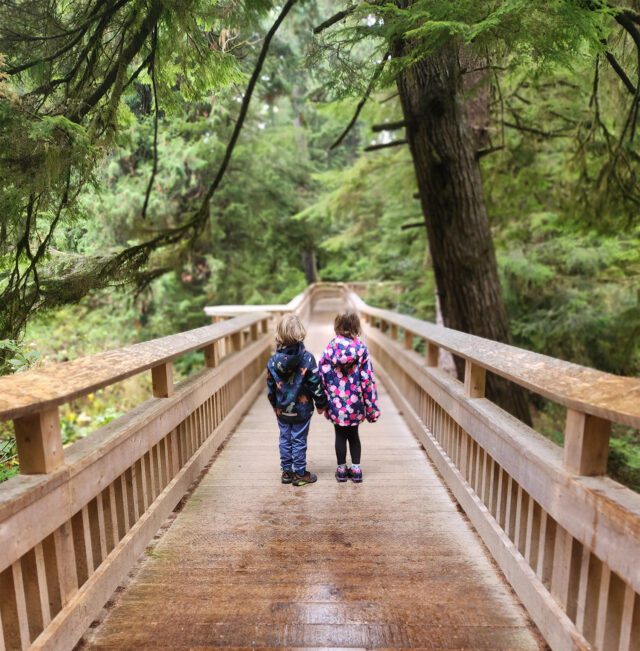 rockaway cedar trail raining kids wood bridge