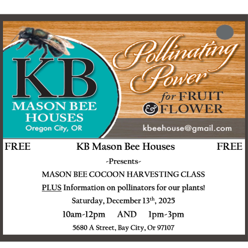 Mason Bees 1213 2gFSME