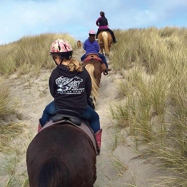 callout hdr horses sand trail