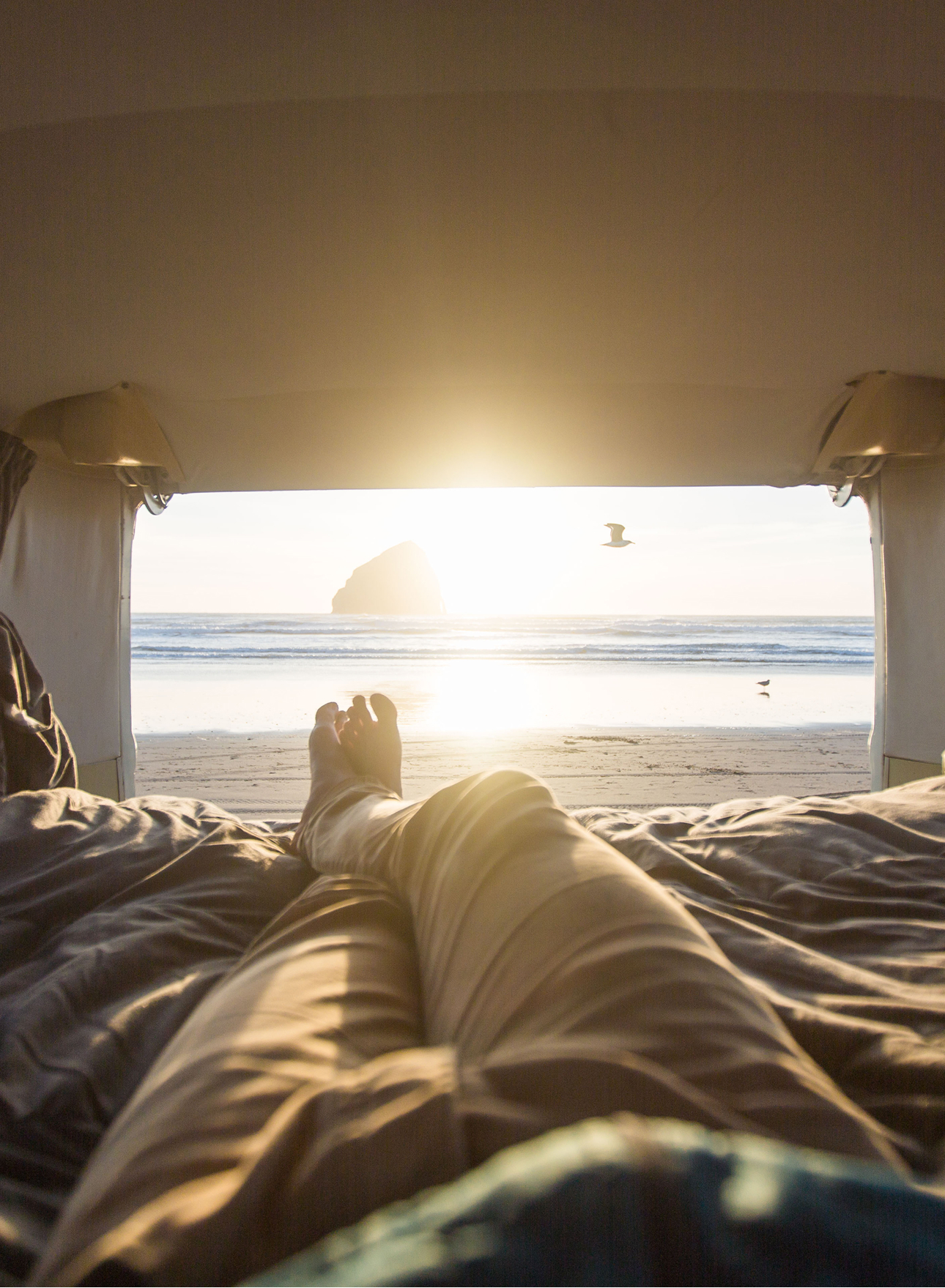 home banner van inside coast portrait