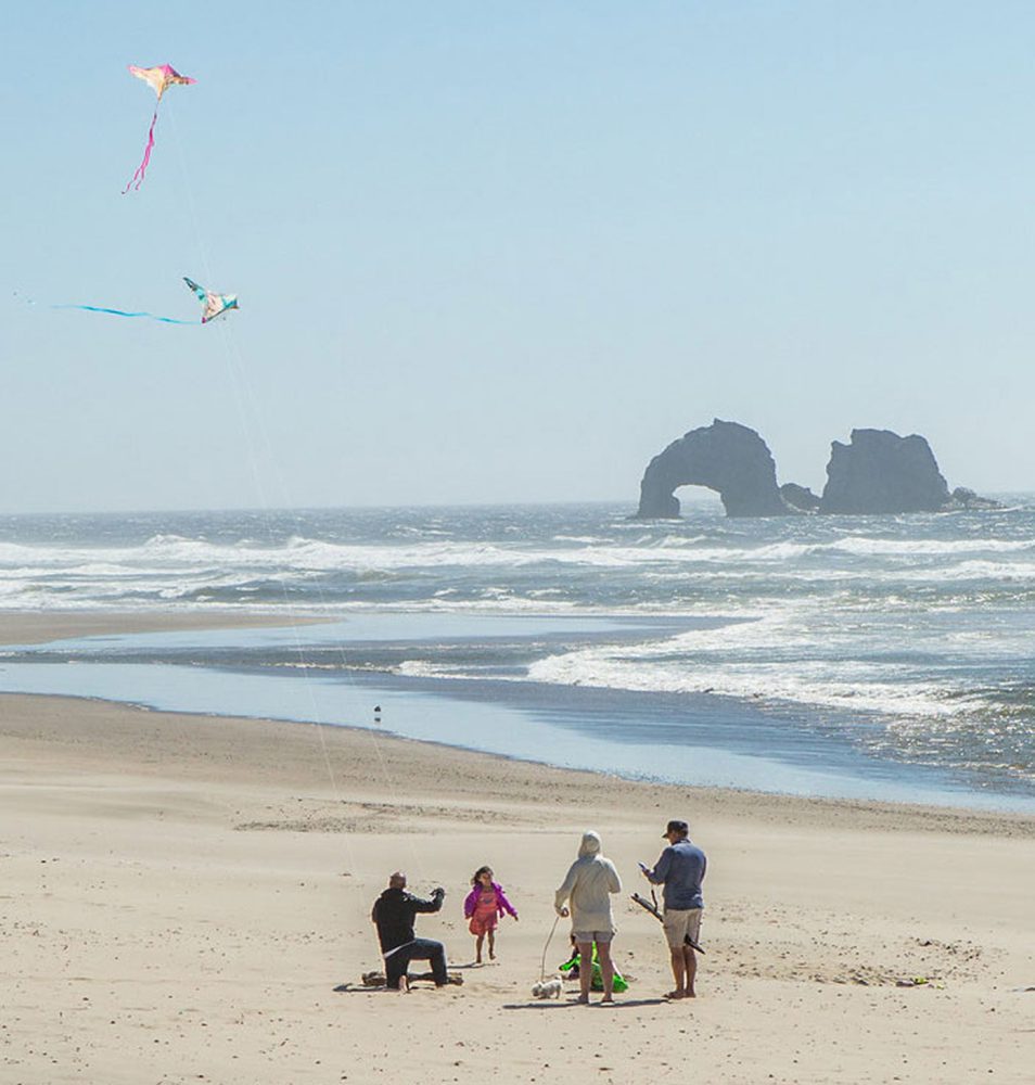 beach kites seastacks family