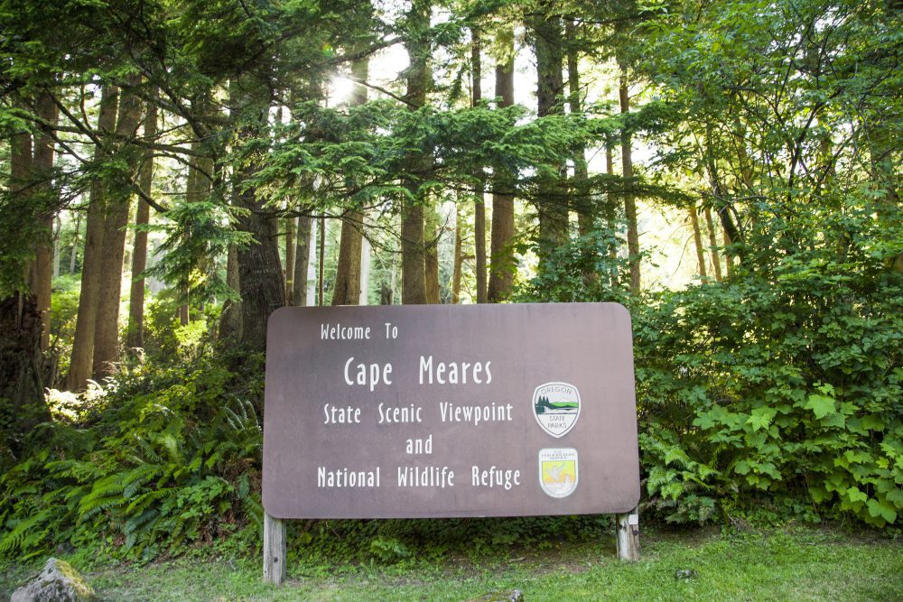cape meares national wildlife refuge signage forest