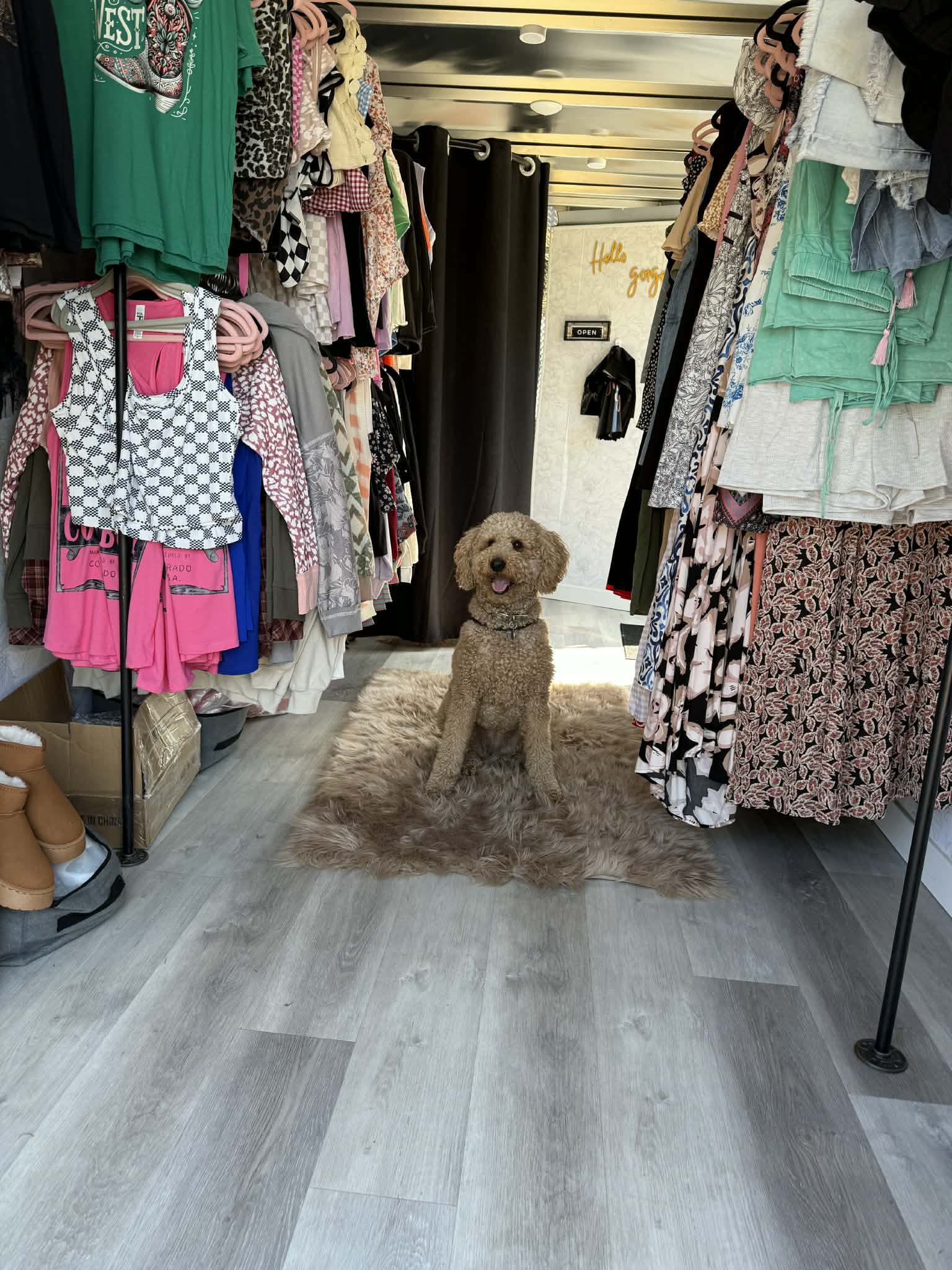 872228ed e560 4a6d ac6d 9a2773936fb6 b5wu62