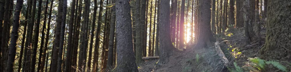 Neahkahnie mountain blog banner